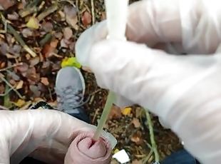 Autumn outdoor self catheter insertion, pee in forest