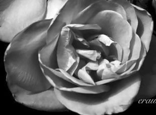 Rescue - Erotic Freeverse - Erotic Audio Performed by Eve's Garden