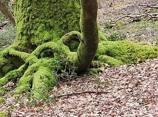 Pissing outdoors in a forest