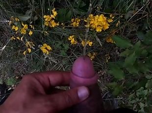 mijando, amador, gay, pov, europeia, euro, italiana, fetiche, sozinho, urso