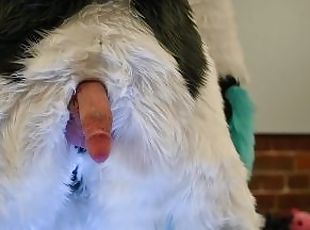 Fursuiter Strokes his Dick and Cums Hard