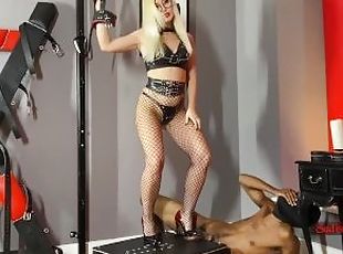 Bunaciuni, Hardcore, Bdsm, Slclav, Blonda, Plasa de peste, Bondage, Femdom