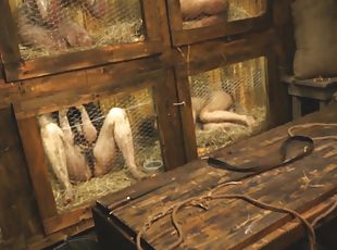 HORRORPORN - Rabbit hutch